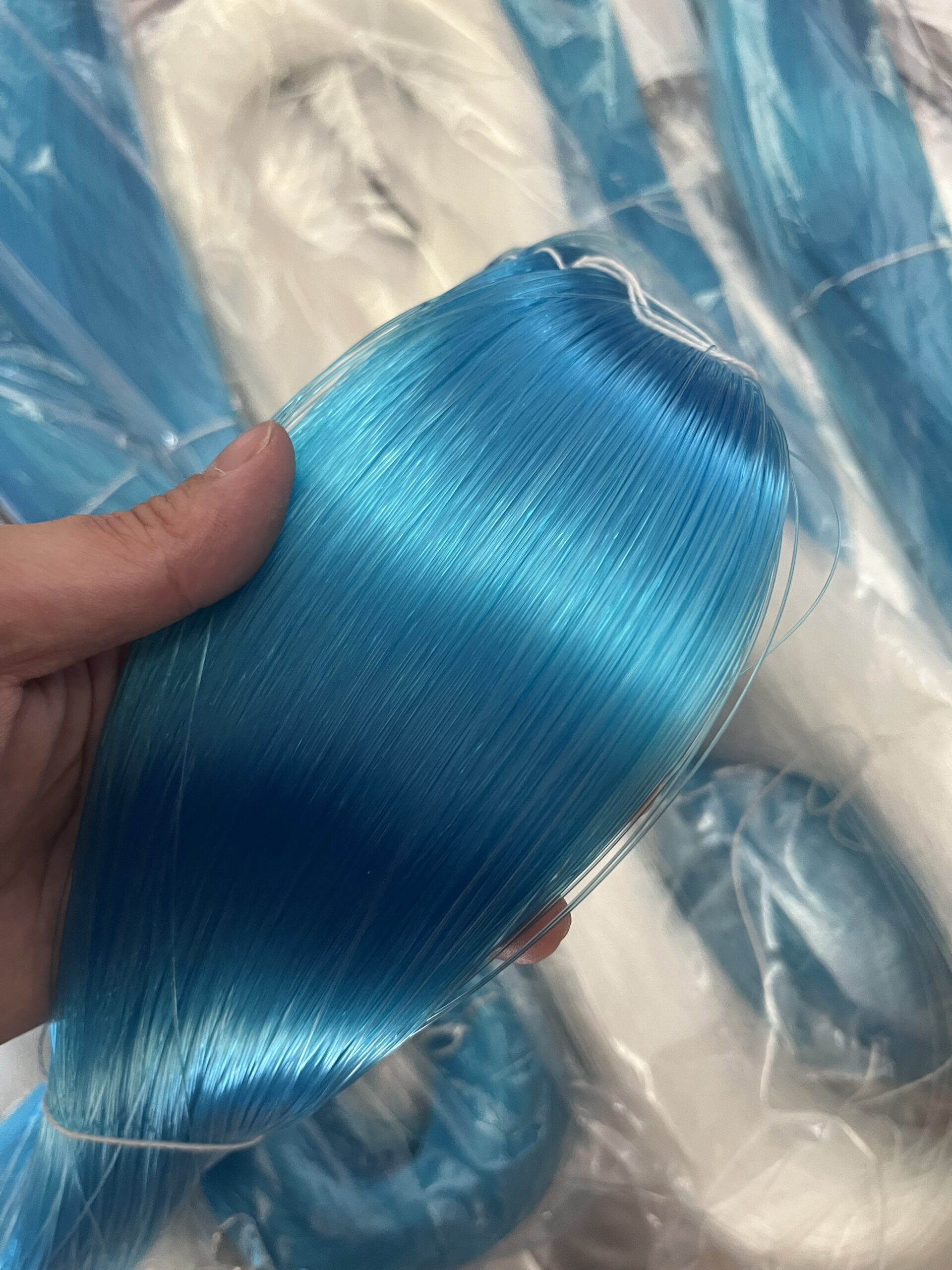 三洋湖蓝色大物线 Sanyo Lake-Blue Big-Fish